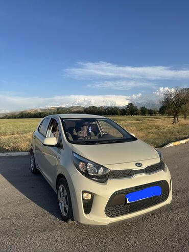 киа машина цена бишкек: Kia Morning: 2017 г., 1 л, Автомат, Газ, Хэтчбэк