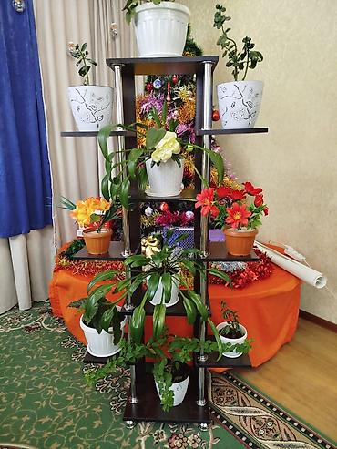 лианы: Полка, этажерка для цветов, Новый, ЛДСП — 3
