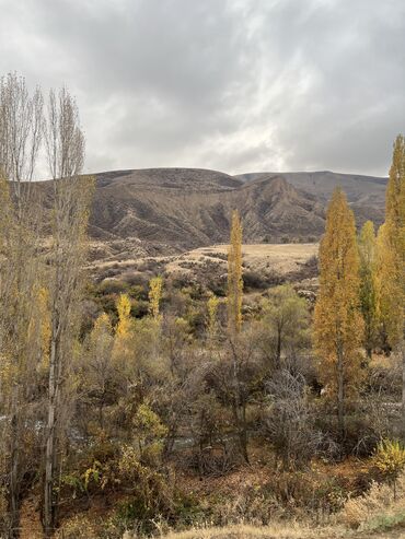 Продажа домов: Дача, 40 м², 3 комнаты, Собственник, Евроремонт — 27