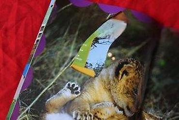 Sličice i albumi za sličice: NATIONAL GEOGRAPHIC JUNIOR 31 | National Geographic Junior broj 31 — 7