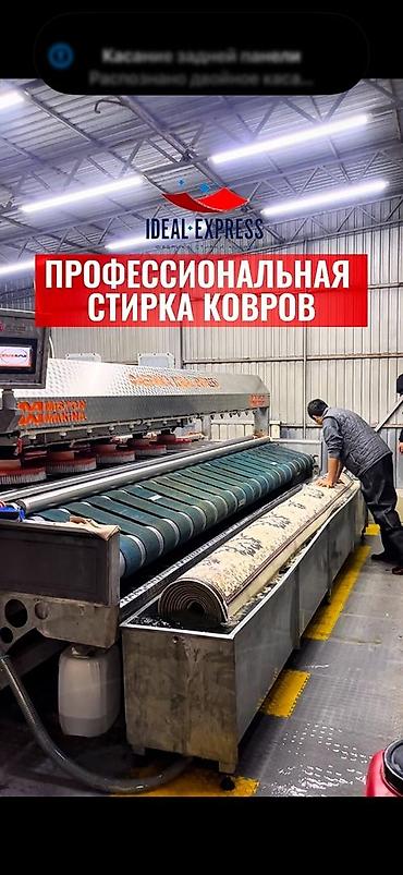 Килемдерди жуу, | Паластар, Килем, Акысыз жеткирүү