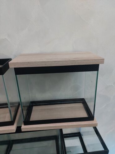 Akvariumlar: Şüşə akvarium – dekorativ fonlu modellər ölçü 30×25×15 Məhsul təsviri — 26