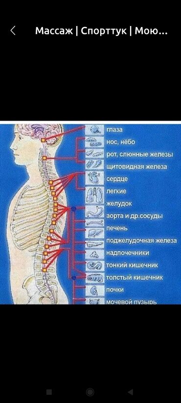 лазерная эпиляция: 1200 массаж