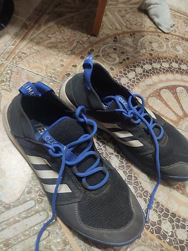 terrex: Кроссовки Adidas Terrex (арт. BC0986) - Размер: EU 42 (US 8.5, UK 8 — 1