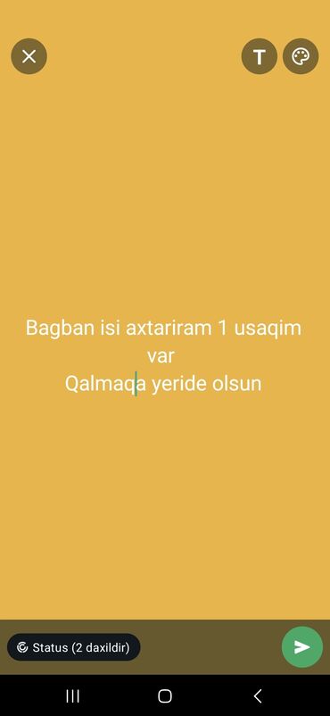 iş axtarilir: Digər ixtisaslar