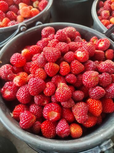 Замороженные фрукты, ягоды: Замороженные фрукты, ягоды — 5