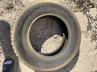 шины 215 70 r15: Зимняя шина Triangle Snow Lion - Размер: 215/70 R15 100Q - Сезон — 4