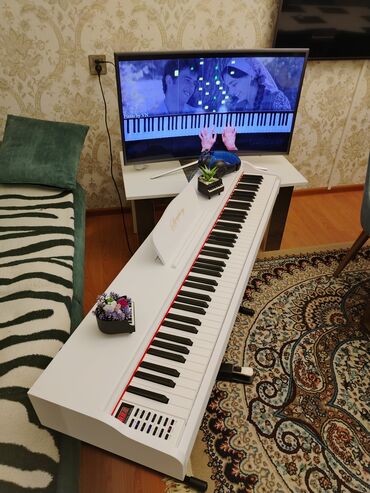 elektro piano: Пианино, Цифровой, Новый, Бесплатная доставка