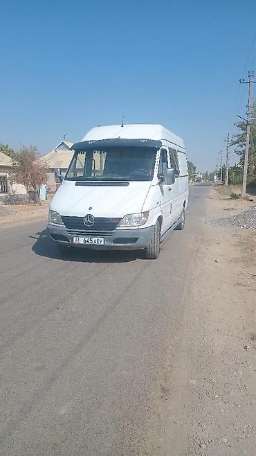 Mercedes-Benz: Mercedes-Benz Спринтер: 2002 г., 2.9 л, Ручные, Дизель — 4