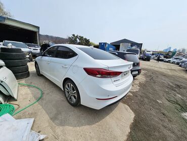 Hyundai Avante: 2018 г., 1.6 л, Автомат, Бензин