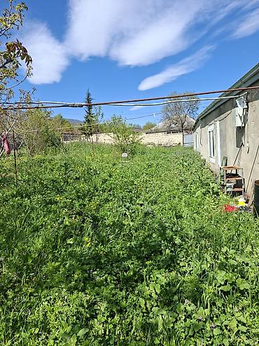 Torpaq sahələrinin satışı: 10 sot, Kənd təsərrüfatı, Mülkiyyətçi, Bələdiyyə — 5