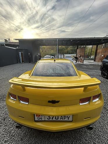 шевроле камара: Chevrolet Camaro: 2010 г., 3.6 л, Механика, Бензин — 3