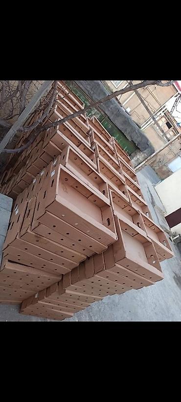 beton konteyner: Məhsul: Karton satılır dənəsi 30 qəpikdən istəyən əlaqə saxlasın 077 — 1