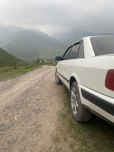 Audi: Audi 100: 1991 г., 2.3 л, Механика, Газ, Седан — 7