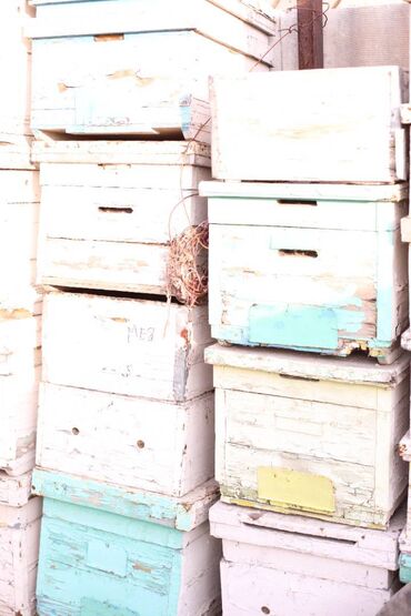 Товары и оборудование для с/х животных: Ульи около 45 комплектов. Рутовская система, корпусные, пригодны для — 7