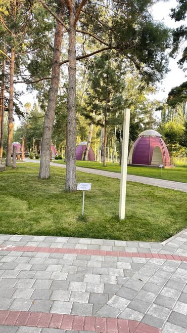 сдаю дом квартиру: Сниму студию семейные без детей 
Своевременную оплату гарантируем