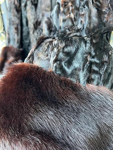 karakul: Çox az geyinilmiş, tam təbii dəri kürk (şuba) satılır. Məhsulun — 2