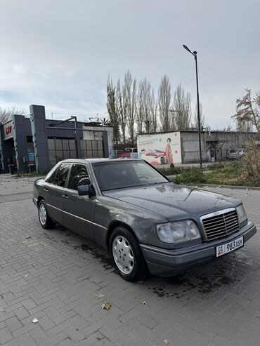 Mercedes-Benz: Mercedes-Benz W124: 1995 г., 2.2 л, Автомат, Бензин, Седан