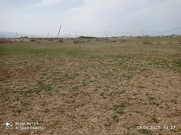 torpag satilir: 12 sot, Tikinti, Mülkiyyətçi, Kupça (Çıxarış) — 7