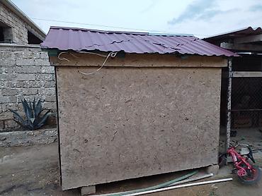 qefes type 1: Taxta/OSB materialdan yığılmış həyət üçün kiçik otaq tecılı satılır — 3