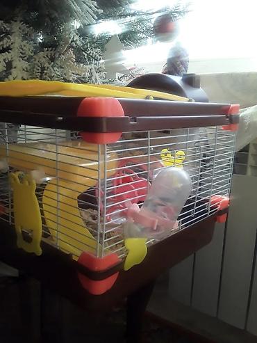 Gəmiricilər: Xan­da­nar/siçan/hamster üçün tam dəst qəfəs. Xüsusiyyətlər: - Metall — 6