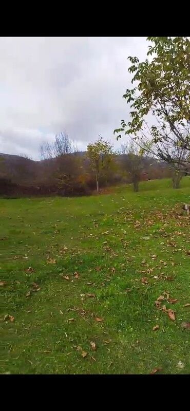 купить участок в баку: Для сельского хозяйства