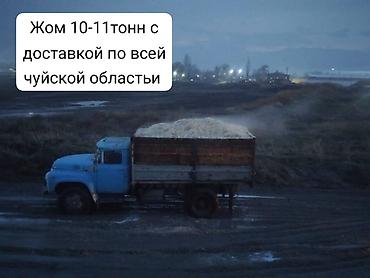 продам сельхоз животных: Жом свекловичный, навалом. Разовые поставки по 10–11 тонн. - — 1