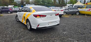 Hyundai: Hyundai Sonata: 2018 г., 0.2 л, Автомат, Газ, Седан