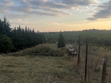 hokmeli torpaq: 12 sot, Tikinti, Makler, Kupça (Çıxarış)