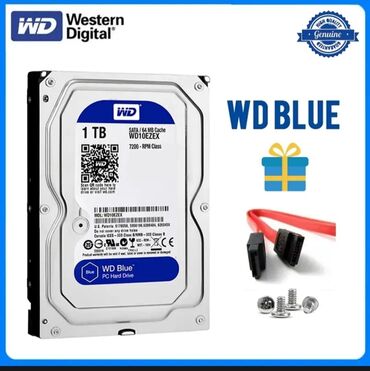 Комплектующие для ПК: Внутренний жесткий диск Western Digital WD Blue, 1ТБ, 3,5 дюйма, 7200