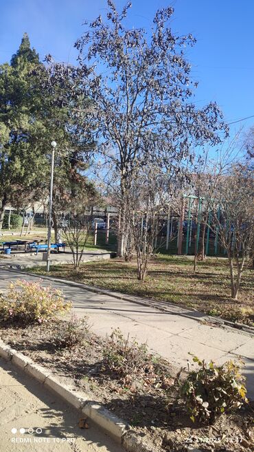 Продажа квартир: 2 комнаты, 50 м², Индивидуалка, 15 этаж, Старый ремонт — 21