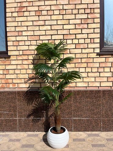 Декоративные цветы: Искусственные деревья и цветы — долговечный и стильный декор без — 13