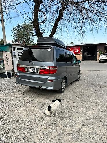 rota grid: Toyota Alphard: 2003 г., 3 л, Автомат, Бензин, Минивэн — 10