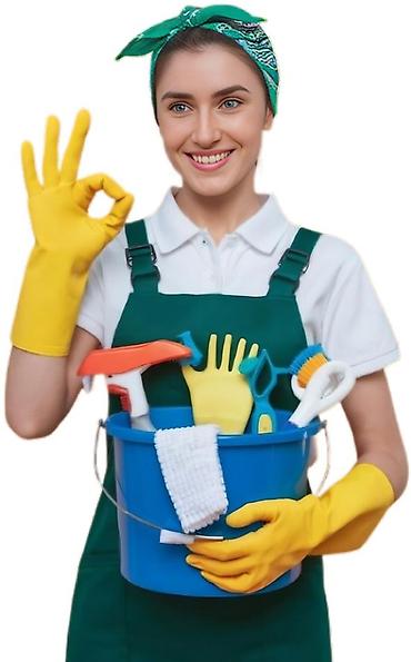 aura roboclean: Уборка помещений, | Генеральная уборка, | Квартиры — 9