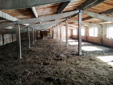 Сельхоз предприятия: Продаётся кошара 1500м2 с отдельным жилым домом 100м2 (внутри баня ) — 5
