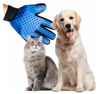 328 oglasa | lalafo.rs: Rukavica za pse i mačke Specijalno dizajnirana True Touch rukavica za