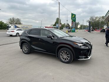 lexus 150: Lexus NX: 2018 г., 2 л, Автомат, Бензин, Внедорожник