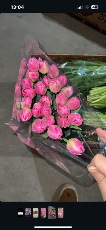 Цветы и букеты: Тюльпаны оптом. - Срезанные тюльпаны в упаковке, готовые к — 7