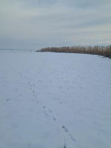 Продажа участков: 20 соток, Для сельского хозяйства, Красная книга, Тех паспорт — 3