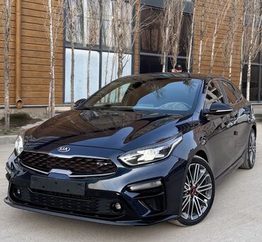 киа каривал: Kia K3: 2019 г., 1.6 л, Автомат, Бензин, Хэтчбэк