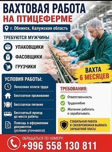 упаковщица в цех: Требуется Упаковщик, Оплата: Почасовая — 1
