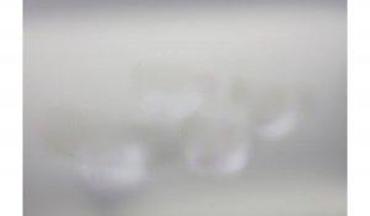 Sveće i svećnjaci: LED dekorativne svećice u obliku belih ruža – set 4 komada (Flower — 7