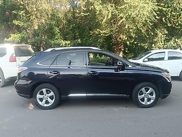Lexus: Lexus RX: 2010 г. — 4