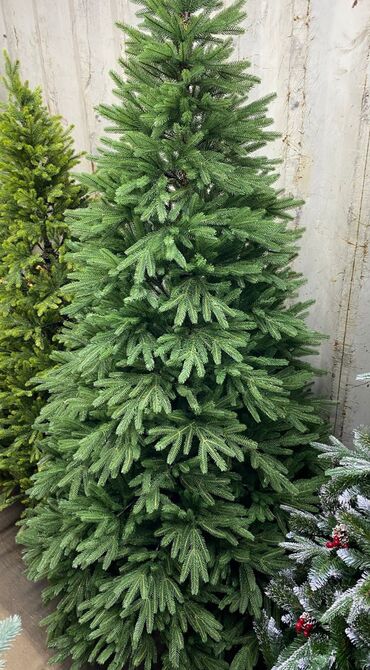 Ёлки: Елки белоснежные елки литые елки пышные елки Идут продажи at lalafo.kg — 6 Ёлки: Елки белоснежные елки литые елки пышные елки Идут продажи — 6