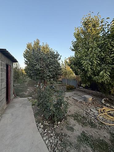 Продажа коттеджей и домов: 🏡 Продаётся уютный дом в Новопавловке — ул. Колхозная, 85, 350 метров — 26