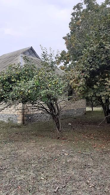 bakida gunluk ev: 🏡 TƏCİLİ! QƏBƏLƏDƏ PRESTİJLİ ƏRAZİDƏ 64 SOT TORPAQ SATILIR! 📍 Qəbələ — 3