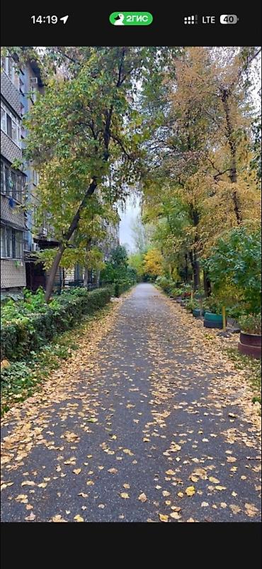 Продажа квартир: 3 комнаты, 58 м², 1000 мелочей 104 серия, 3 этаж, Косметический ремонт — 9