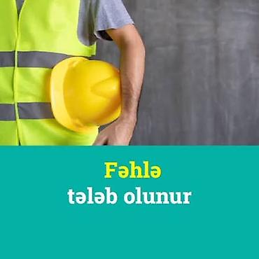 fehlə: Fəhlə tələb olunur, Təcrübəsiz, 6/1, Aylıq ödəniş — 1