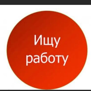 реализатор дордой рынок: Ищу работу 17 лет без опыта