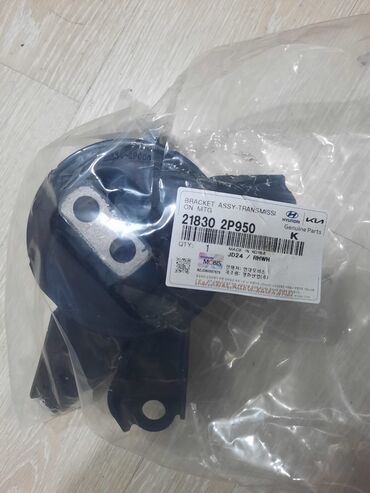 Orijinal motor paduşqaları